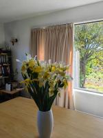 Cozy 安逸舒适的小屋 - B&B