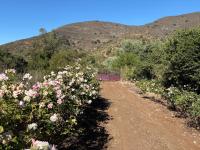 cabaña con tinaja en viña narbona wines - Ferienwohnung