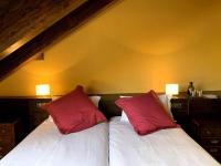 Standard Zweibettzimmer mit Bergblick