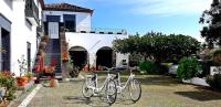 Ninho do Cedro - Azorean tranquility - B&B Ponta Delgada