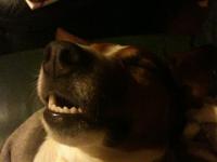 La maison aux prés - Ferienwohnung Durbuy