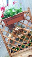 Gites des Mines d'Argent- Le Saint-Louis 5 personnes avec terrasse privative-Le Saint-Barthélemy 4 personnes - Ferienwohnung Sainte-Marie-aux-Mines
