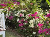 LE LAGON BLEU, BUNGALOWS Vue sur MER , 350 m de la plage - Bed and Breakfast Sainte-Anne