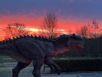 Auszeit am Alfsee, inklusive Dinopark und Indoorspielplatz - Ferienwohnung Rieste