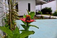 Fortuna Tropical Loft - B&B La Fortuna