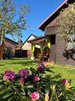 NIKA - B&B