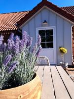 Ferienwohnung auf dem Mühlenhof - B&B