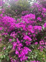 Casa con 1 Camera da Letto