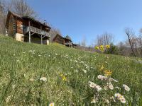 Sleepy Bear Cabin-Watch the Sunset, Dogs welcome with Pet Rate - B&B