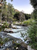 Sequoia A-frame Nirvana: Modern + Views + Hot Tub - B&B Ponderosa