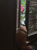 September Huizhou Inn - B&B Huicheng