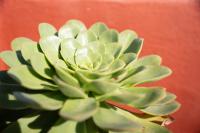 TenoHomes Rustic House with Terrace & Nature Views - B&B Buenavista del Norte