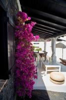 Superior Villa with Private Pool