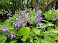 Self check-in spacious apartment in a quiet area - Ferienwohnung Riga