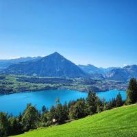 Chalet Lilo 4 Zimmer big View - Ferienwohnung Beatenberg