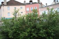 Apartment mit 2 Schlafzimmern