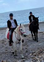 SEAL of Deer - Castle View - 5 minute walk to the Beach - B&B Rodas