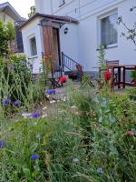 Apartamenty u Daniela - Ferienwohnung Misdroy
