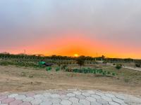 Dhan Valley Guest House - B&B