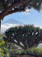 Great views & heated pool - El Perenquen 5 - B&B La Matanza de Acentejo