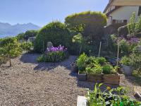 Roses & Nature - B&B Saint-Gingolph