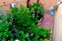 Sunny City Villa with a Garden - B&B