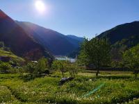 Çay Pansiyon - B&B Uzungöl