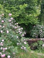 Georgerock - Chambres d’hôtes Grimaldi