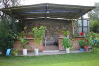 Bed in 6-Bed Mixed Dormitory Room