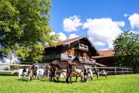 Thalerbauer Ferienwohnungen - B&B