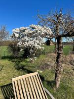 Bude in Burgwedel - frisch saniert in 2025 NEW NEW - B&B