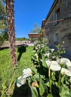 Maison T3 dans moulin à eau - B&B