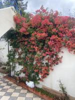 Maison à El Omrane . - Chambres d’hôtes Tunis