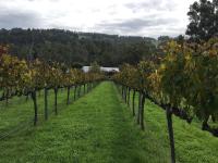 Zimmer mit Queensize-Bett und Balkon