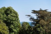 Watcombe Hideaway Romantic Coastal Retreat - Ferienwohnung Stokeinteignhead