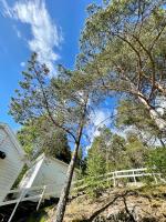 10 bedro House 50 km Fra Oslo 1866 Båstadveien 870 - Ferienwohnung Heiås