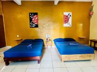 Palmar la Punta 11 AC Starlink 2min walk to beach - B&B Brisas de Zicatela