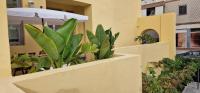 Casa da Açoteia - Bright City Center Apartment with a Private Outdoor Terrace - Ferienwohnung Faro