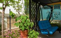Urban Seaside Oasis - Adriana's Garden Paradise - B&B