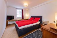 Deluxe One-Bedroom Apartment with City View
