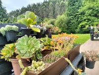 Deluxe Two-Bedroom Apartment with Garden View