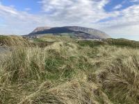 Gala House Strandhill - B&B Strandhill