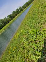 Apartman Ivana - B&B Ludbreg