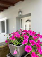 Cozy village apartment - Bed and Breakfast Ágios Andréas