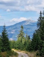 Apartmán Maršovák Horní Maršov - B&B