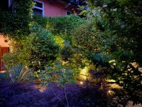 Love Family - B&B Vignone