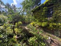 Chata u rybníka Machčák - B&B Třebušín