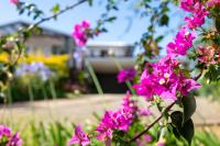 Whaler's Watch Luxury Home - B&B Kingston