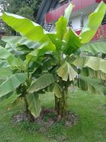 Ferienwohnung Wiesengrund - B&B Überlingen