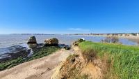 Saint Georges de Didonne - TOUT CONFORT et TOUT A PIED - APPARTEMENT au TOP - Ferienwohnung
